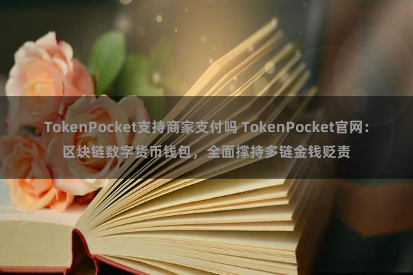 TokenPocket支持商家支付吗 TokenPocket官网：区块链数字货币钱包，全面撑持多链金钱贬责